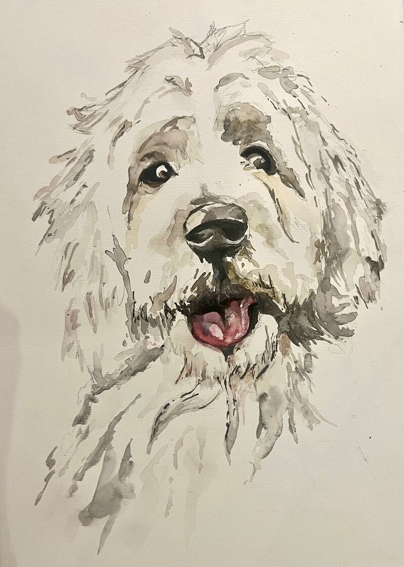 Tierportrait (Auftragsarbeit nach Foto)